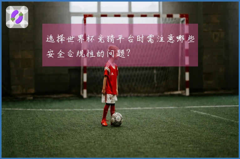 选择世界杯竞猜平台时需注意哪些安全合规性的问题？